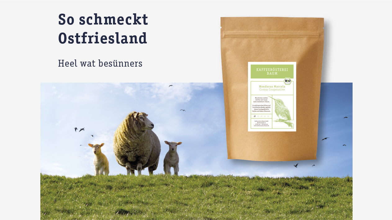 Mit Leichtigkeit guten Kaffee brühen