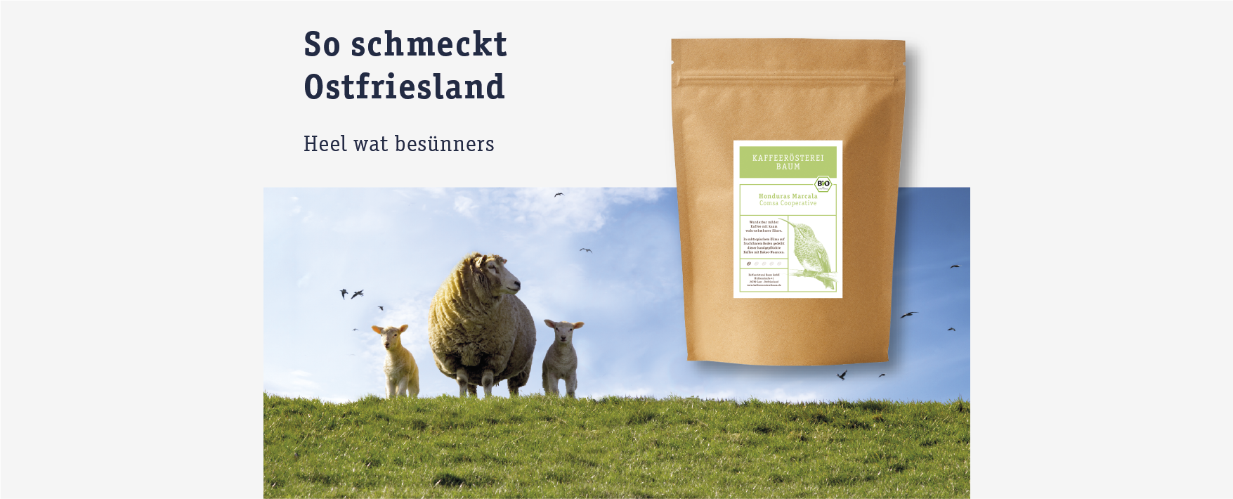 Mit Leichtigkeit guten Kaffee brühen